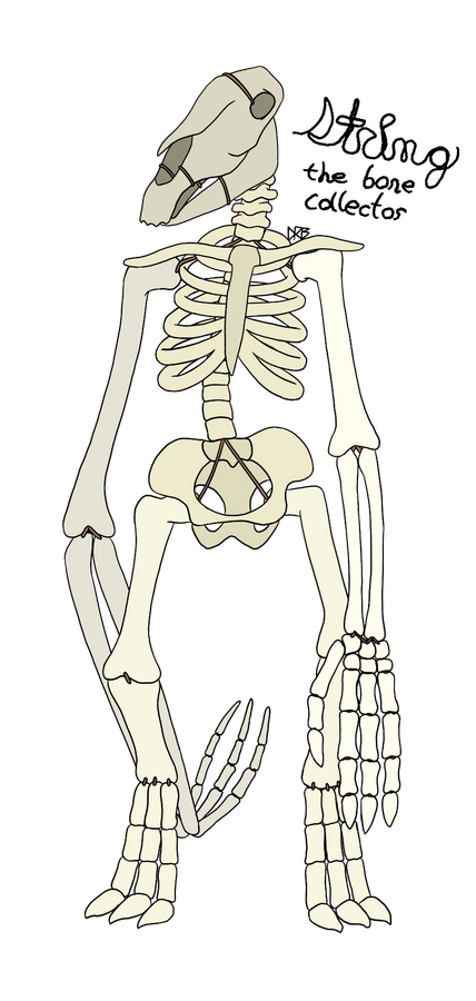 String (character design)